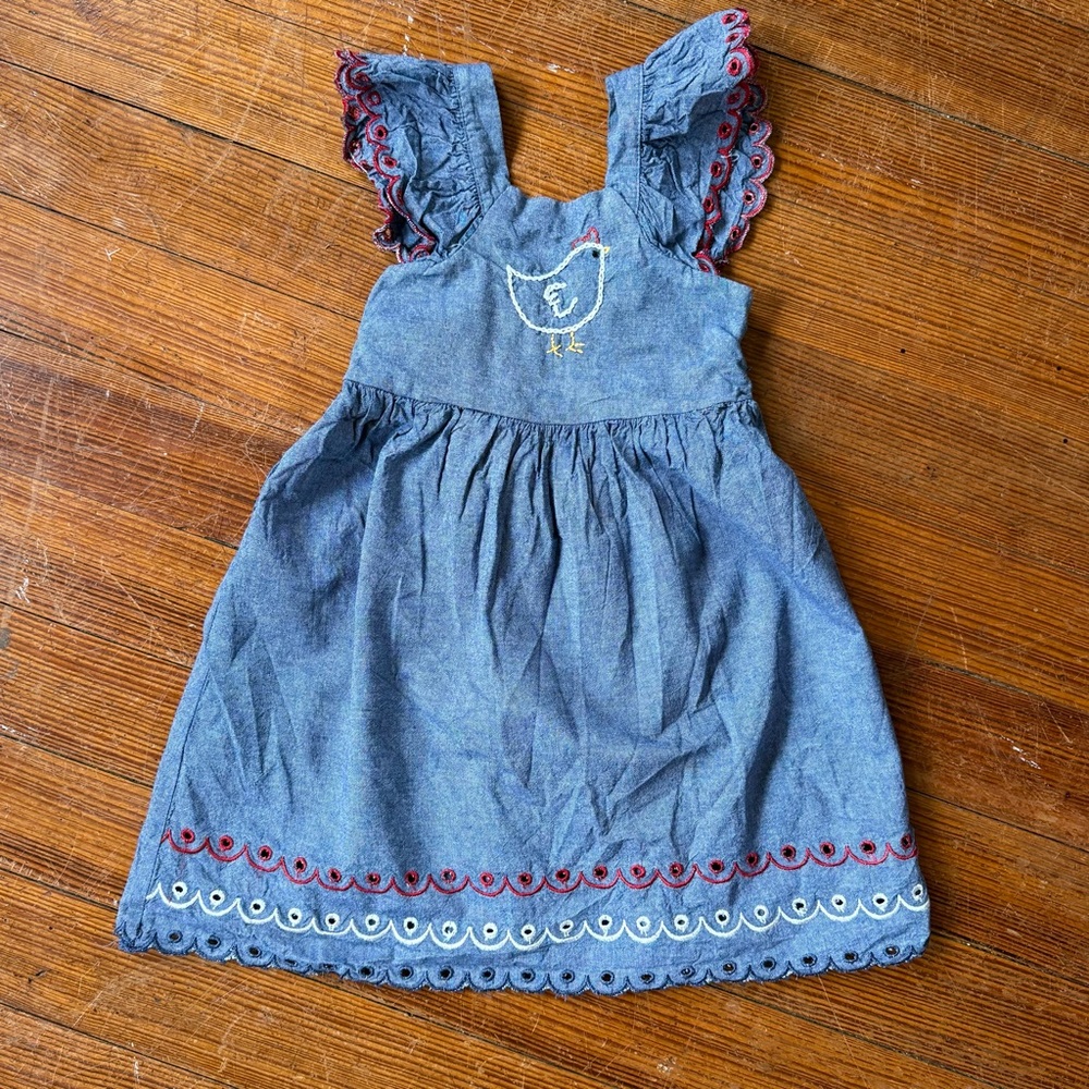 Charming Blue Kids Dress with Embroidered chicken Details size 5